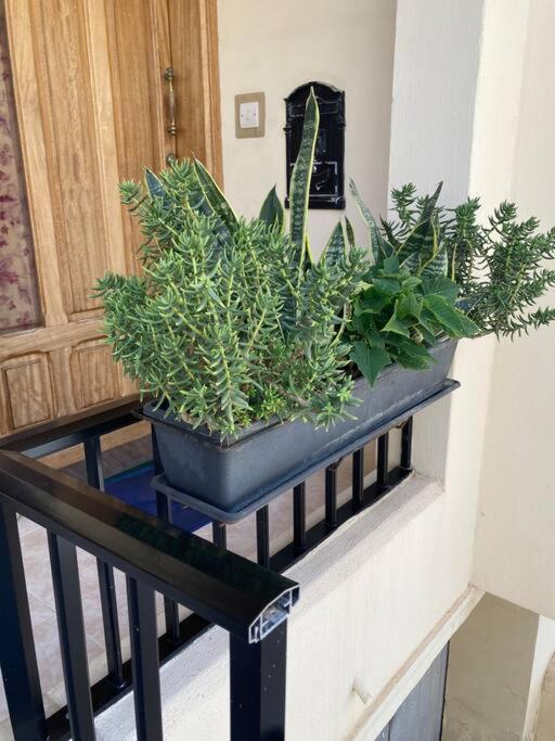 Dream Theatre Maisonette Marsaskala Luaran gambar